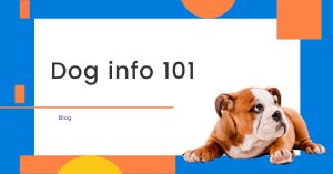 Read more about the article Dog Info 101